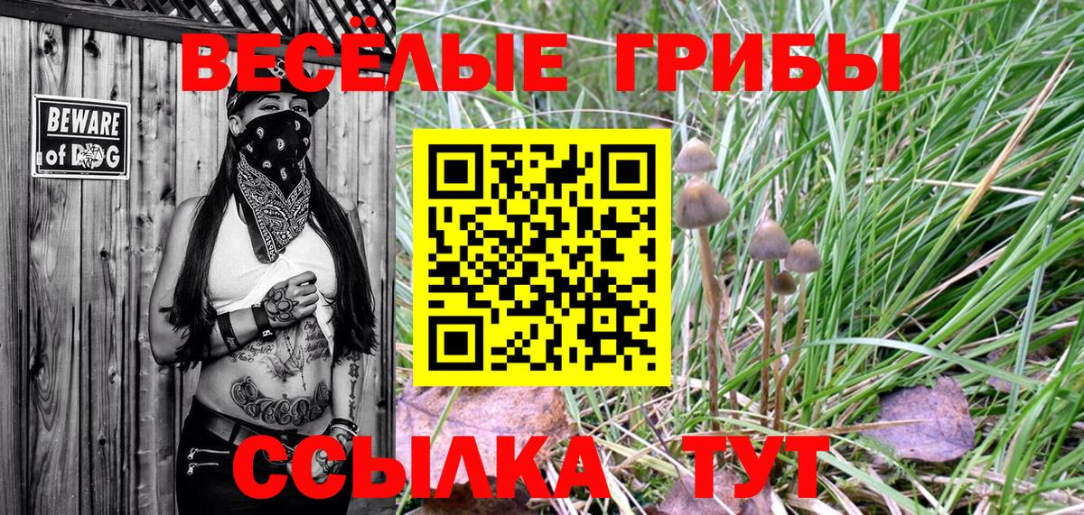 Псилоцибиновые грибы Psilocybe  Галлюциногенные грибы Psilocybe  Вход с VPN  Нефтекамск 